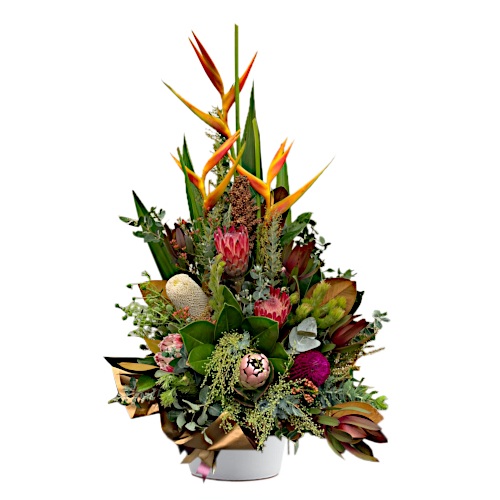Birds of paradise represent good perspective on life. Displays crane flowers standing with pride behind woody & strong banksia varieties, range from red, pink to yellow. Perfect for celebrations, business openings, corporate settings & many more.