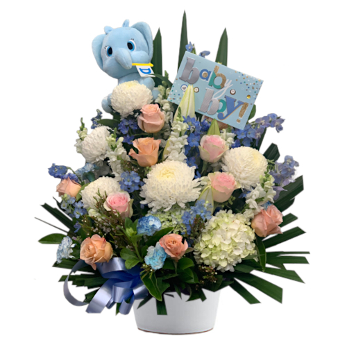 Baby Boy Floral Gift