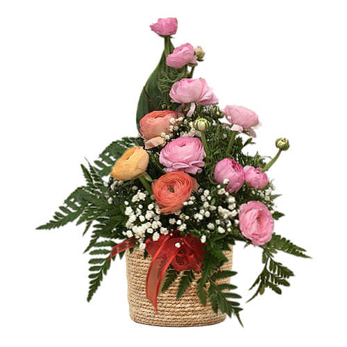 Surprise someone special with this arrangement. A sure way to brighten up anyone's day. Place an order online from anywhere now! Sydney-wide fresh flower delivery.