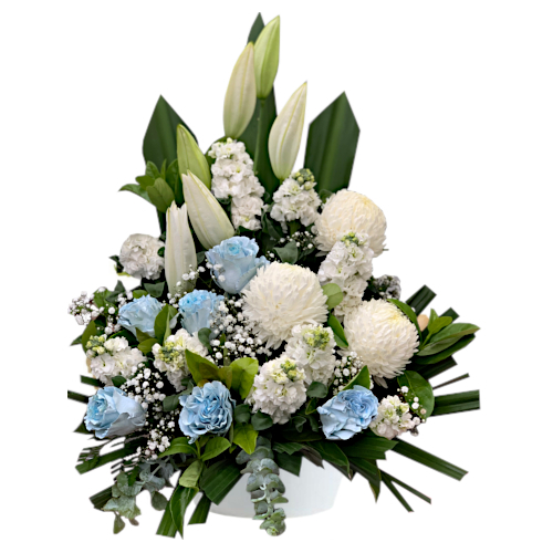 Large and in charge, white bloom chrysanthemums, snapdragon flowers, roses and lilies take centre stage in this well-dressed arrangement. Complimented by eucalyptus and lavish evergreen foliage.