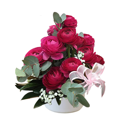 Pink buttercup flowers are paired with silky eucalyptus greens & white baby's breath in the Cheer Up posy. Great for all occasions. Send this to someone special today. Place an order online from anywhere now!