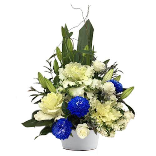 Blue flowers are rarity in nature. Send thoughts & well wishes with this precious assortment of white roses, lilies, songbirds & blue chrysanthemum accents.