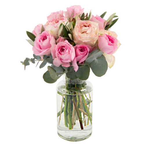 Elegant Lady | Fresh roses | Cabramatta Flower Spot