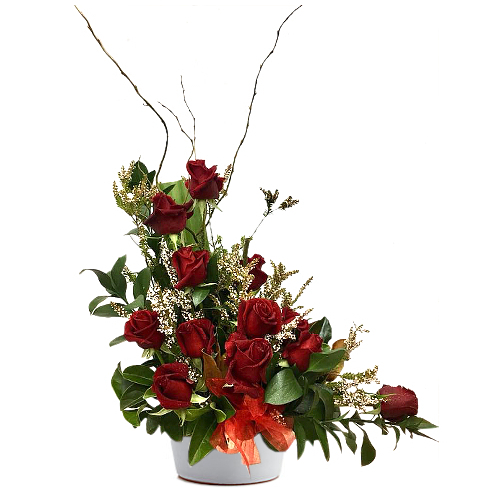 Traditional red roses arranged in an nontraditional way ready to display. Send this classic dozen with a sweet message to someone special today.