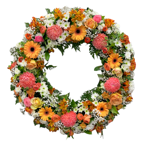 A ring wreath of big bloom chrysanthemums, spaced out by bright sunshine gerbera daisies, yellow roses, pink and orange buttercup flowers. Surrounded by dendrobium orchids, white daisies, baby's breath, and gardenia leaves.