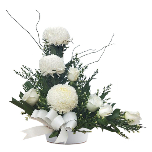 Comprises of pure white roses & chrysanthemum flowers in full bloom. Accented by evergreen foliage, this arrangement is suitable to any occasion year round.