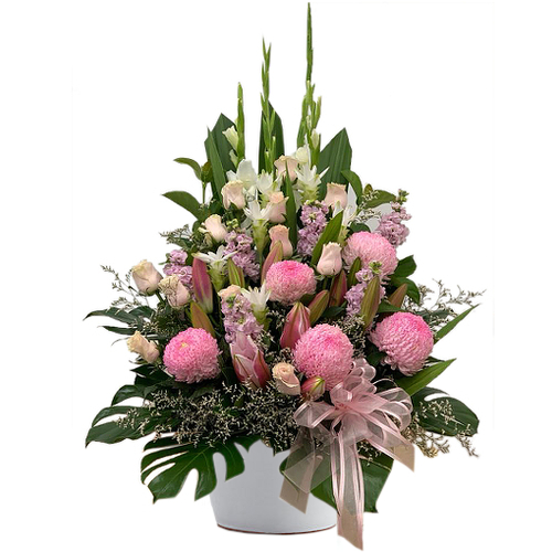 Large & in charge, chrysanthemum flowers take centre stage, complimented by roses, stargazer lilies & stock flowers in blushing shades of pinks & purples.