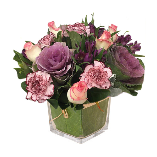 Majestic and enchanted are these gorgeous two tone flowers. Send these roses, carnations and songbirds to someone you adore today. Place an order online from anywhere now! We offer Sydney-wide fresh flower delivery. Majestic and enchanted are these gorgeous two tone flowers. Send these roses, carnations and songbirds to someone you adore today. Place an order online from anywhere now! We offer Sydney-wide fresh flower delivery.
