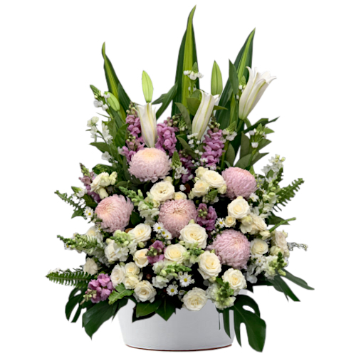 Large and in charge, soft pink bloom chrysanthemums, purple & white snapdragon flowers, cream roses and white lilies take centre stage in this well-dressed arrangement. Complimented by lavish assorted evergreen foliage.