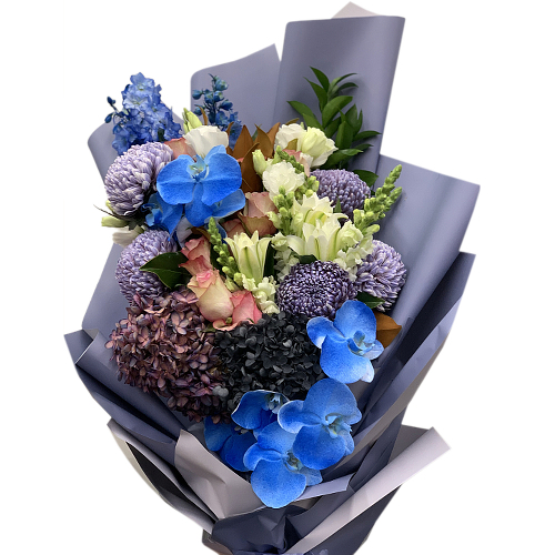 Hydrangea Delight 2025, Flowers by Cabramatta florist shop Flower Spot, South west Sydney, NSW