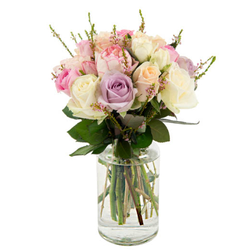 Ideal Lady | Fresh roses | Cabramatta Flower Spot