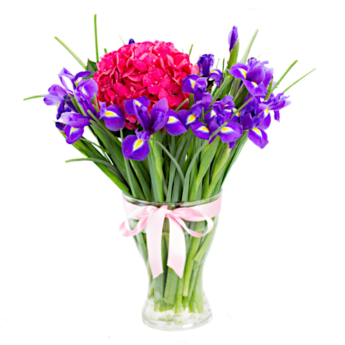 This gorgeous bouquet is minimalistic and mesmerising. Purple iris and red hydrangea will send a message of love, loyalty and positivity - perfect for any celebration.