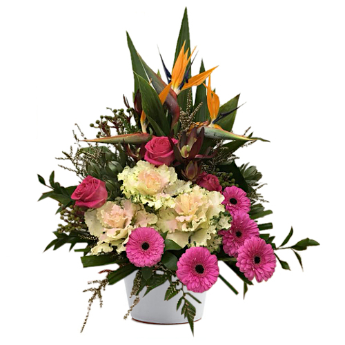 Transport someone special to a tropical island paradise by this perfect mix of birds of paradise, bold pink roses & gerberas with gentle white songbirds.