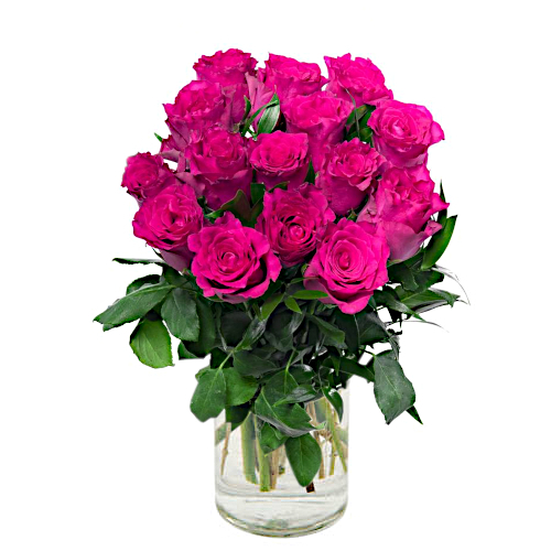 Pink Roses (15) | Fresh roses | Cabramatta Flower Spot