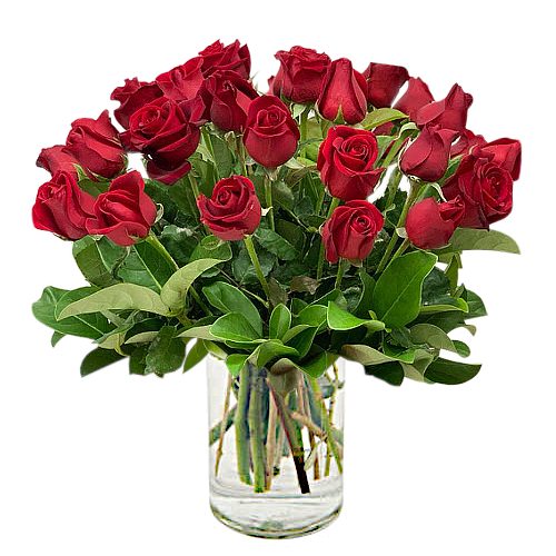 Create a magical moment with this arrangement of 24 luscious long stem roses presented in a clear vase to be remembered for a lifetime.