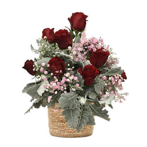 Red roses lay with pink & white baby's breath flowers in bed of dusty foliage to signify love & appreciation for a partner, family member or friend.