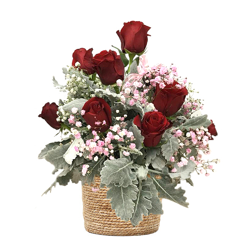 Red roses lay with pink & white baby's breath flowers in bed of dusty foliage to signify love & appreciation for a partner, family member or friend.