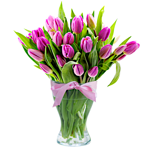 This gorgeous bouquet is minimalistic and mesmerising. Purple and yellow tulips will send a message of love, loyalty and positivity - perfect for any occasion.