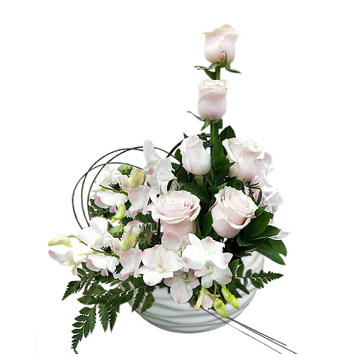 Sophisticated arrangement of ombre longstem roses matched with flowing dendrobium orchids. Perfect for anniversary, mother's day & other occasions.
