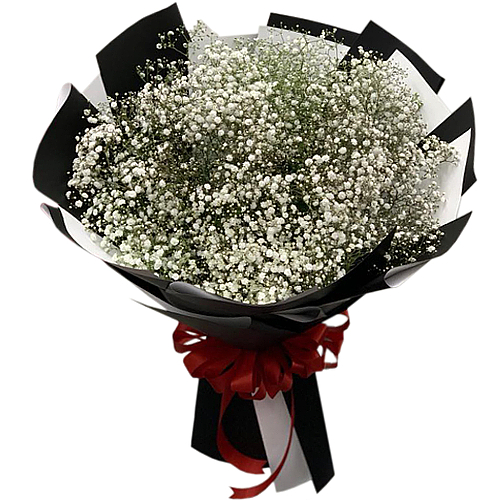 Gypsophila, commonly known as baby's breath, are an age old symbol of everlasting love. The pettiness and colour of the flower carries a message of innocence, trust and purity. Send this bouquet to someone special.