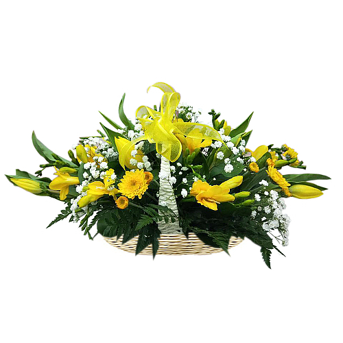 Beaming yellow iris flowers & chrysanthemums are perfectly contrasted against soft baby's breath flowers. Presented in cute basket measuring 20cm at the base. Sydney-wide fresh flower delivery.