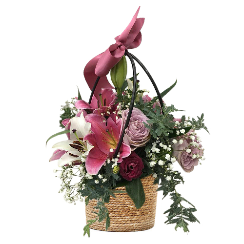 Stargazer (3) 2024, Flowers by Cabramatta florist shop Flower Spot, South west Sydney, NSW