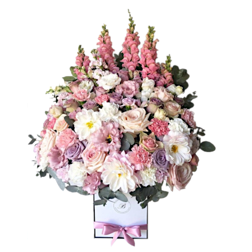 Cluster of roses & daisies in white, pink & purple put together with snapdragon flowers & dull grey green foliage. A real standout of sweetest & freshest cut flowers. Perfect for birthday and any celebration occasion.