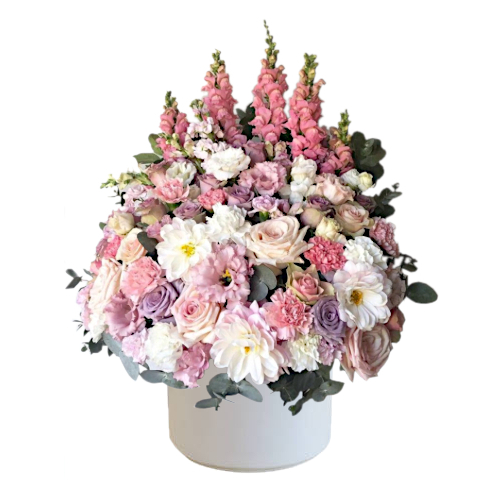 Cluster of roses & daisies in white, pink & purple put together with snapdragon flowers & dull grey green foliage. A real standout of sweetest & freshest cut flowers. Perfect for birthday and any celebration occasion.