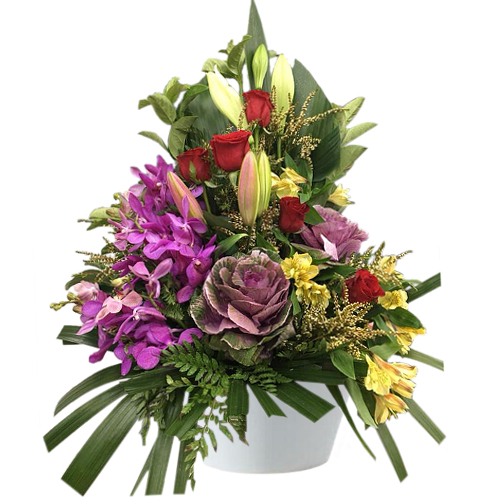 The triumph arrangement is truly a winning combination of roses, orchids, songbirds and stargazer lilies. Perfect for all celebrations. Perfect for any occasion. Fresh flower delivery to Sydney throughout. Order and send now! The triumph arrangement is truly a winning combination of roses, orchids, songbirds and stargazer lilies. Perfect for all celebrations. Perfect for any occasion. Fresh flower delivery to Sydney throughout. Order and send now!