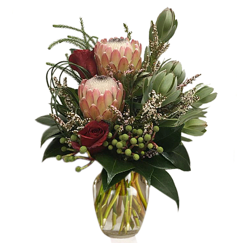 Queen protea stand tall, gracious and proud like the Queens in your life. Send this arrangement to someone special today. Queen protea stand tall, gracious and proud like the Queens in your life. Send this arrangement to someone special today.