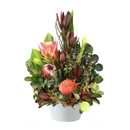 Protea varieties pop against leucodendron flowers and green foliage. Perfect for any occasion. Fresh flower delivery to Sydney throughout. Order and send now!