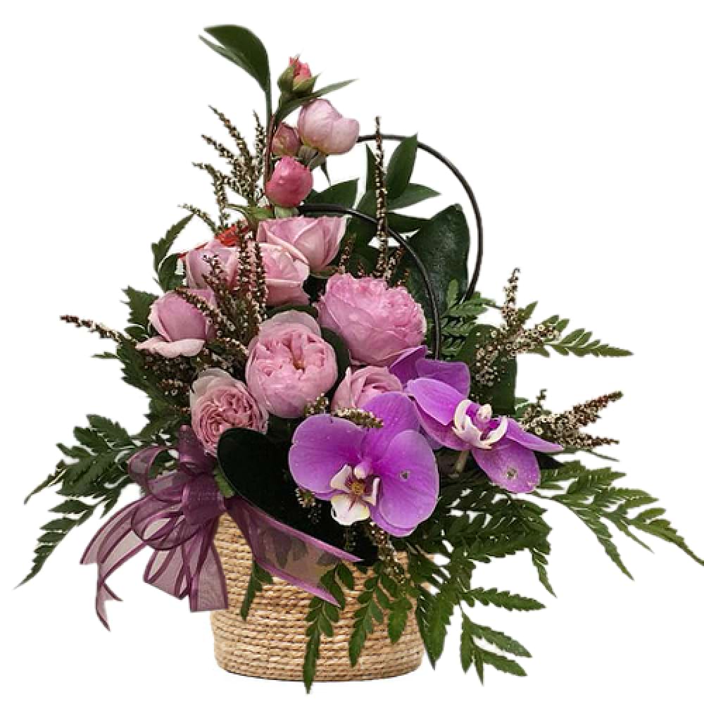 Lilac Dreams (3)