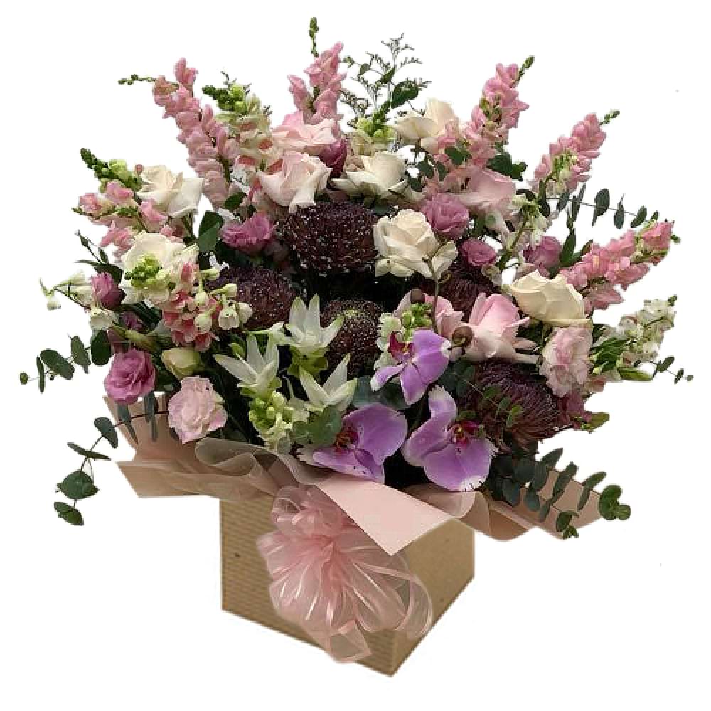 Bashful Bunch (12)