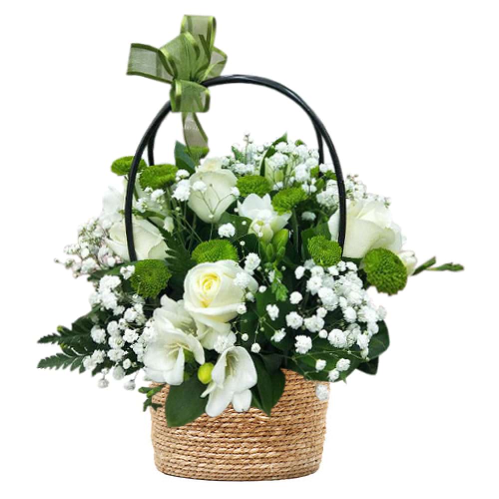 White Glory (5)