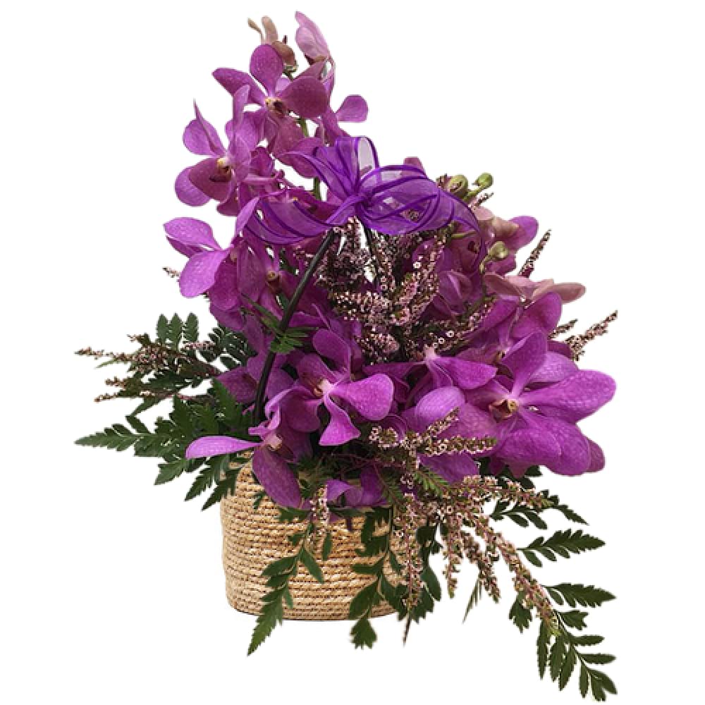 Magnificent Magenta