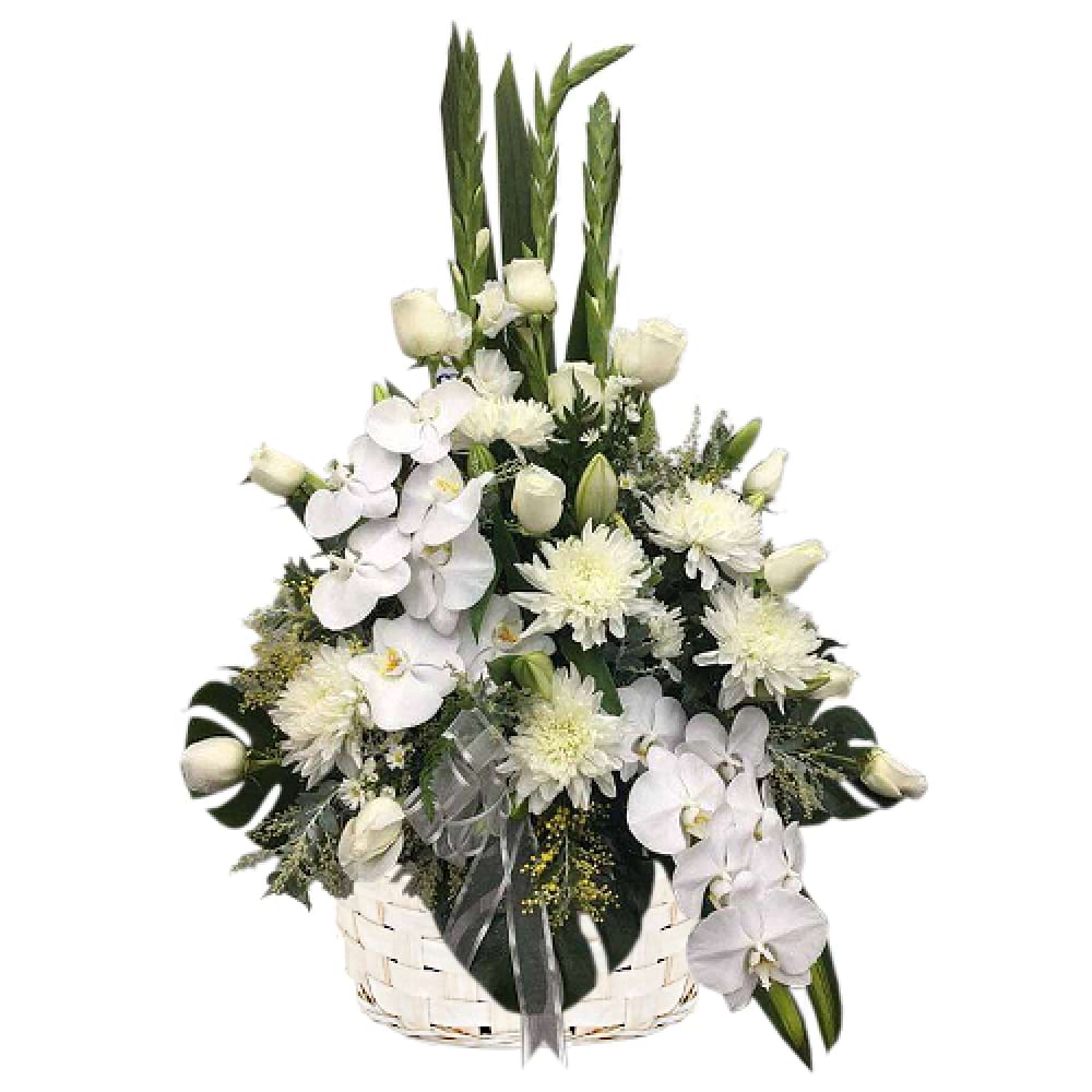 White Elegance
